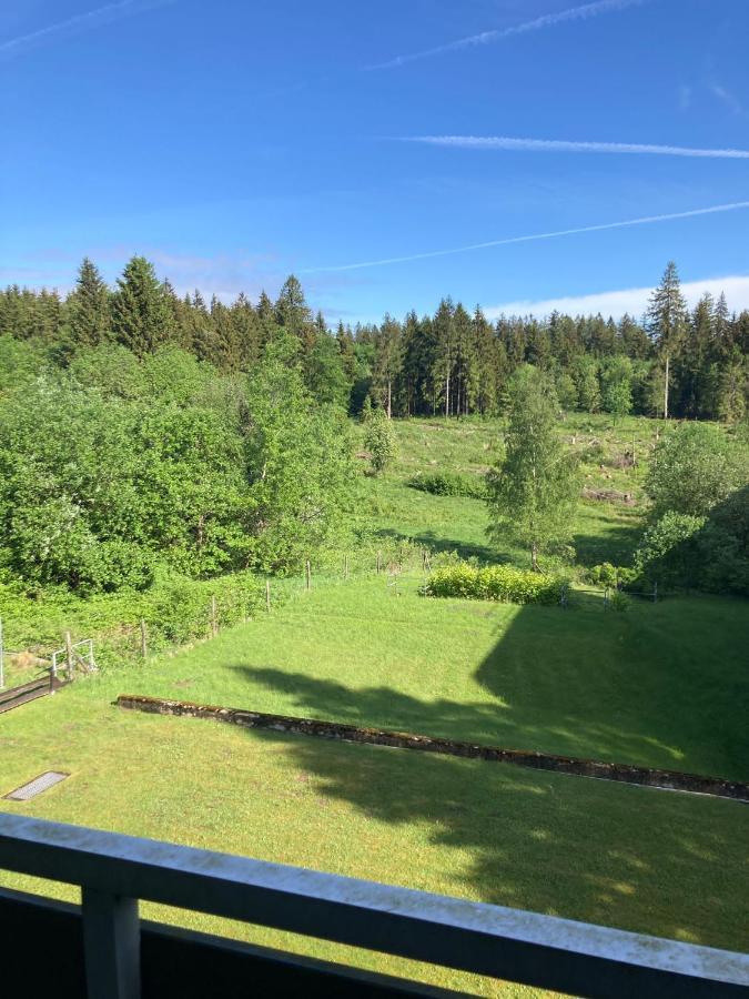 Hahnenklee Charme - Moderne Neue Ferienwohnung Mit 2 Balkons Goslar Dış mekan fotoğraf
